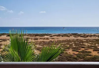 a palm tree on a beach with the ocean at Bayview Bliss Appartement in Santa Maria