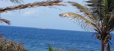 a palm tree in front of a large body of water at Tortuga B&B in São Filipe
