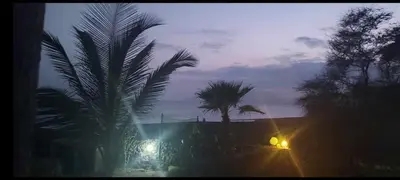 a view of palm trees at night with lights at Tortuga B&B in São Filipe
