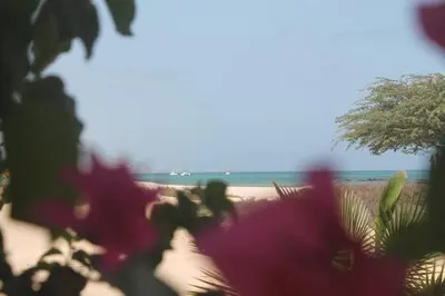 a blurry picture of a beach with pink flowers at Casa Mar Doce in Sal Rei