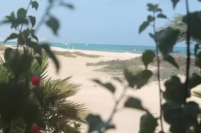 a view of the beach from a plant at Casa Mar Doce in Sal Rei