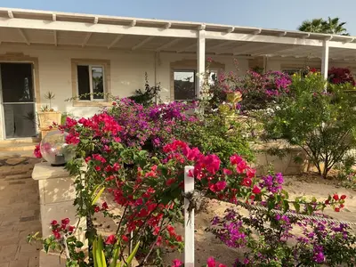 a bunch of flowers in front of a house at Villa Alfredo Marchetti 13B in Cabeçadas