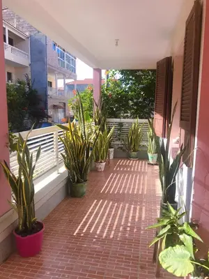 a balcony with potted plants on a building at Conforto no Coração do Tarrafal in Tarrafal