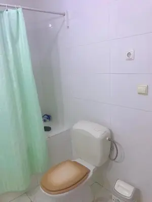 a bathroom with a toilet with a green shower curtain at Conforto no Coração do Tarrafal in Tarrafal
