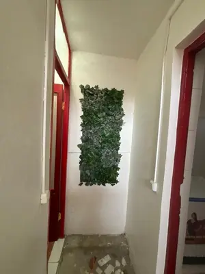 a wall with a green plant on the wall at Casa Cisalta N2 - 5mn Centro City in Praia