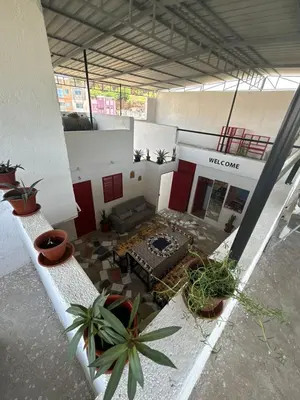 a room with potted plants on the floor of a building at Casa Cisalta N2 - 5mn Centro City in Praia