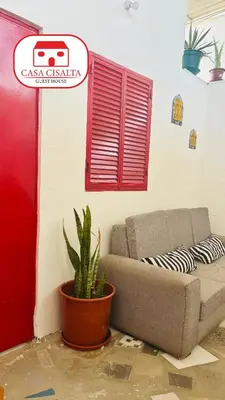 a living room with a couch and a plant at Casa Cisalta N5 - Quarto Casal in Praia