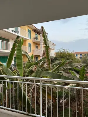 a view from the balcony of a hotel with banana trees at Soares Appart's in Santa Maria