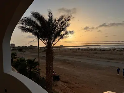 a palm tree on the beach at sunset at Nautilus Cabral Sea view, free Wi-Fi in Sal Rei