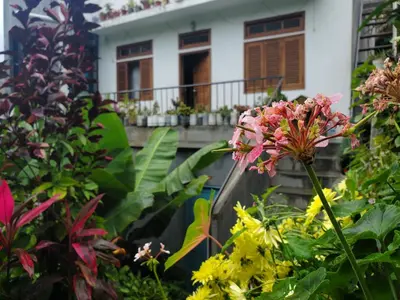 a garden with flowers and a house in the background at Puntinha d'Djô in Caculi
