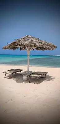 two picnic tables under an umbrella on a beach at Turtle Apart in Sal Rei