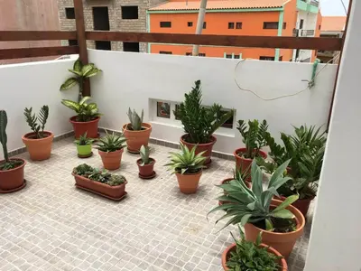 a bunch of potted plants on a balcony at Espaço 3M in Praia