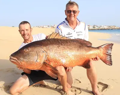 two men holding a large fish on the beach at Joli et fonctionnel proche centre et plage in Vila do Maio