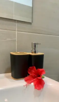 a red flower sitting on top of a bathroom sink at KANDAKE APARTMENT II Sal Rei Wi-fi in Sal Rei