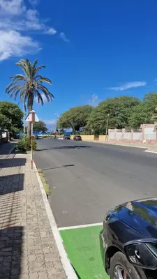 a car parked on the side of a street with a palm tree at Urban Mindelo in Mindelo