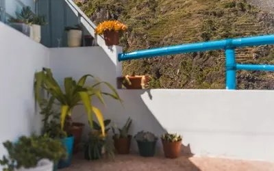 a staircase with potted plants on the side of a building at Oiá Paúl in Paul