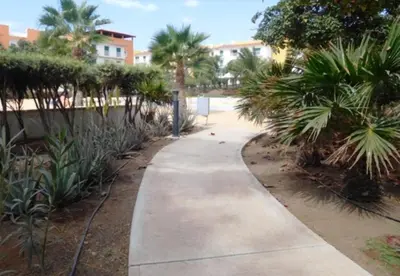 a sidewalk in a park with palm trees and a building at Ricky's - minha kas, tju kaza in Santa Maria