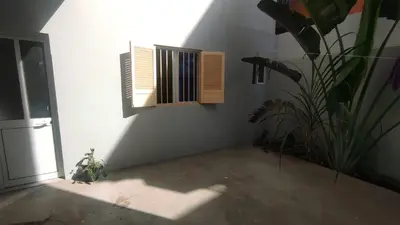a room with a plant and a window at Cafofo in Tarrafal