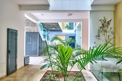 an indoor courtyard with plants in a house at Apartamento Ap3 T1 Santa Maria Residence in Santa Maria