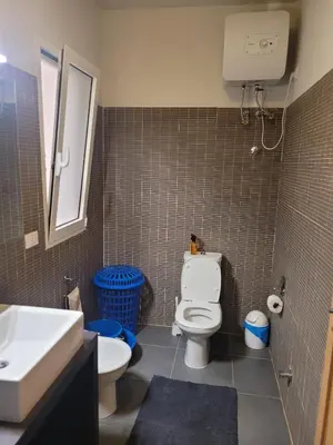 a bathroom with a white toilet and a sink at Blu Jasmine in Sal Rei