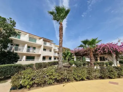 a palm tree in front of a building at Stay, laugh, repeat! in Prainha
