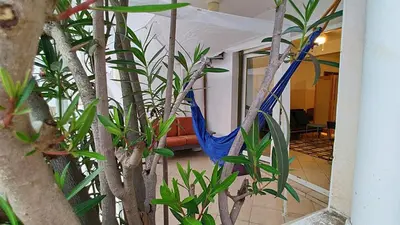 a blue hammock in a room with trees at Studio Murdeira Side Beach, Eco Protected Bay, Pool in Beirona