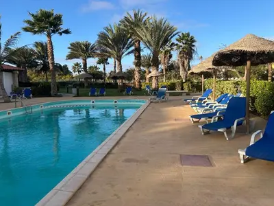 a pool with chairs and umbrellas and palm trees at Vila Verde Calistemon in Santa Maria