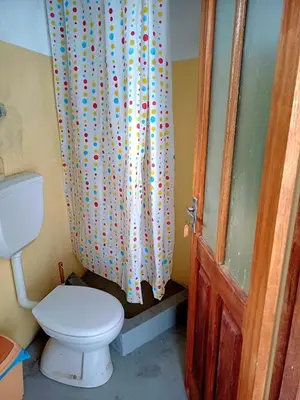a bathroom with a toilet and a shower curtain with polka dots at Domus Belota in Ribeira Grande