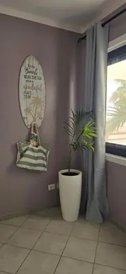 a potted plant in a room with a window at Ocean Breeze in Sal Rei