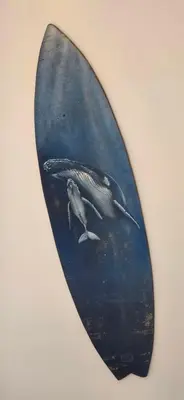 a surfboard with a picture of a whale at Ocean Breeze in Sal Rei