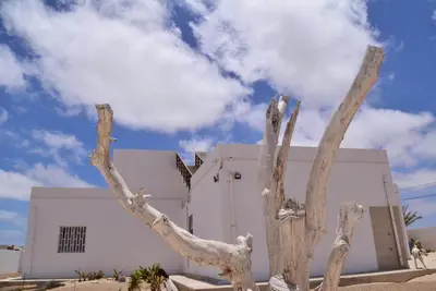 a dead tree in front of a white building at Casa Estoril, Boa Vista in Sal Rei