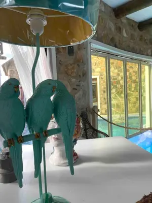 two green parrots perched on a lamp post at Suite and pool, Praia Estoril, Sal Rei in Sal Rei