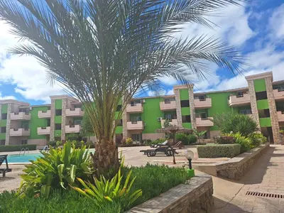 a palm tree in front of a building at Djadsal Moradias in Santa Maria