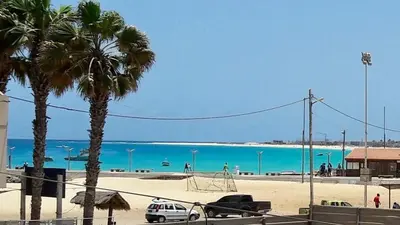 a beach with a palm tree and the ocean at Two Bedroom Apt - 150 meters from the Beach in Santa Maria