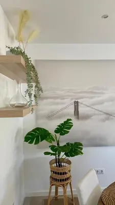 a plant in a basket in a room with a wall at Laginha Paradise II - Penthouse in Mindelo