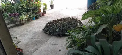 a garden with a bunch of potted plants at NoS Casa in Montanha