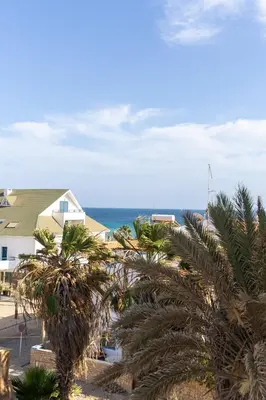 a view of the ocean from a beach with palm trees at Atlantic Sal Ocean View in Santa Maria