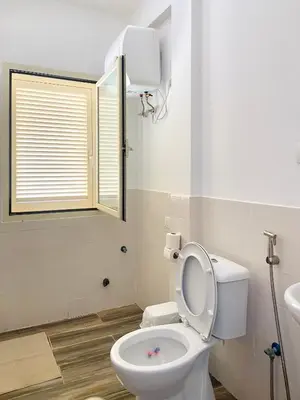 a bathroom with a toilet and a sink and a mirror at MaRiRa Apartments T1 in Santa Maria