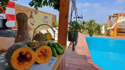 a table with fruit on it next to a swimming pool at Bangaló Buzio Relax in Portal
