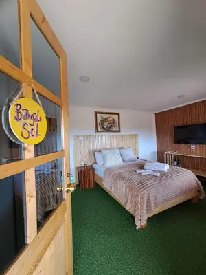 a bedroom with a large bed with green carpet at Bangaló Buzio Relax in Portal