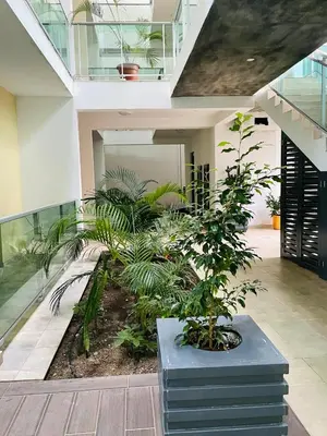 an indoor garden with plants in a building at Sal Little Heart Bia Apartment 19 in Santa Maria