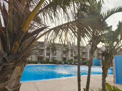 a palm tree in front of a swimming pool at Marialva Tropical T2 in Santa Maria