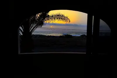 a palm tree in a window with a sunset at Alma MIRIAM in Sal Rei