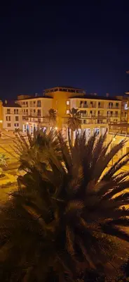 a group of palm trees in front of a building at Apartamento mj in Santa Maria