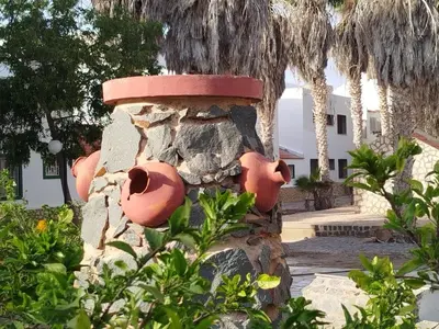 a stone wall with pots on a tree at Paraiso 162E in Santa Maria