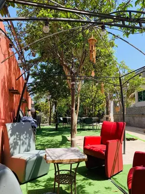 a patio with chairs and a table and a tree at Pousada Aguia in Praia