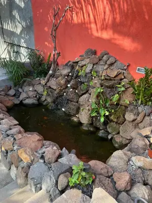 a small pond with rocks and plants in front of a building at Pousada Aguia in Praia