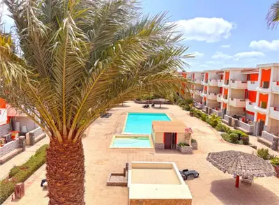a palm tree in front of a swimming pool at Morabeza Santa Maria - Djadsal Moradias in Santa Maria