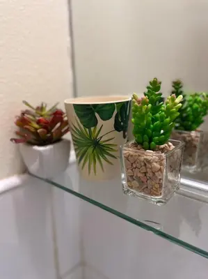 a glass table with three potted plants on it at HOSTEL Terra Branca in Praia