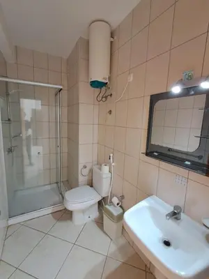 a bathroom with a toilet and a shower and a sink at Boa Vista BriMar Holidays, apartamento with pool in Rabil